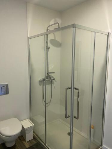 a glass shower in a bathroom with a toilet at Casa D' Almeidas in Amares