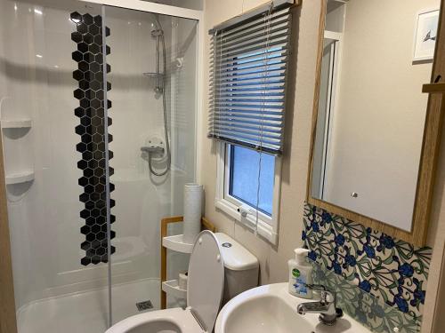 a bathroom with a toilet and a sink and a shower at Dave and Deb's Place Beverley Bay in Paignton