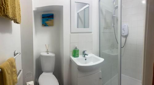 a bathroom with a toilet and a sink and a shower at Cosy detached house in central location in Oban