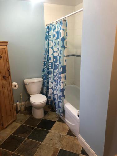 un bagno con un water e una tenda da doccia di Spry Church Cozy Cottage a Lion's Head