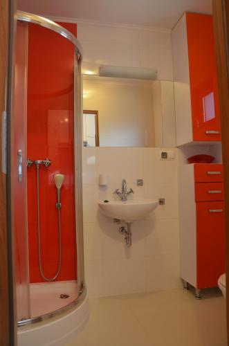 a bathroom with a shower and a sink at Domek Maja in Wołkowyja