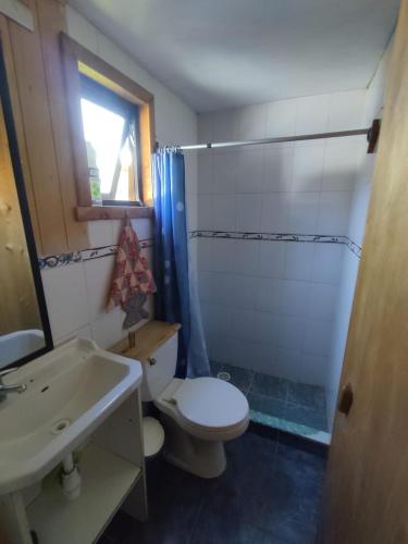 a bathroom with a white toilet and a sink at Departamento Erica 2 in Panguipulli