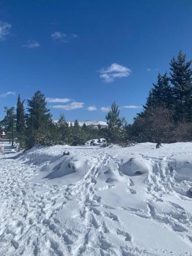 a snow covered field with footprints in the snow at Highland Forest Zimmers in El-Rom
