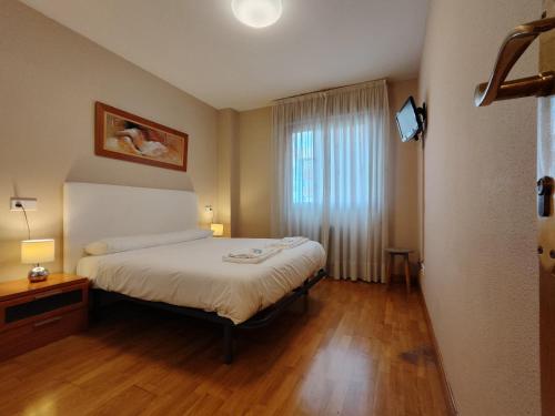 a hotel room with a bed and a window at Gestión de Alojamientos Apartments in Pamplona