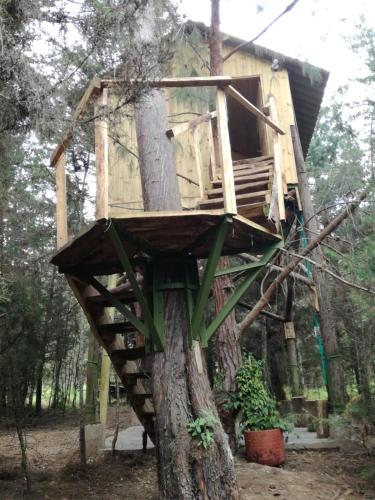a tree house built out of a tree trunk at Casa Mujer Villa Agueda in Chocontá