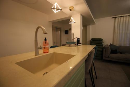 eine Küche mit einem Waschbecken und einer Flasche Seife drauf in der Unterkunft סוויטות נופי החרמון - Hermon View Suites in Madschdal Schams