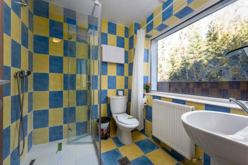 Koupelna v ubytování Pensiunea Ursuletul Paddington