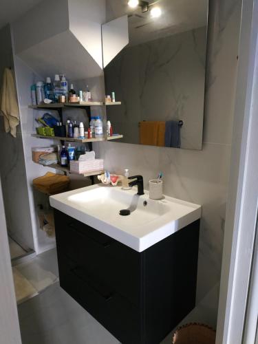 een badkamer met een wastafel en een spiegel bij Port love in Port-Vendres