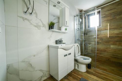 a bathroom with a sink and a toilet and a shower at Apartman La Foresta Kopaonik in Kopaonik