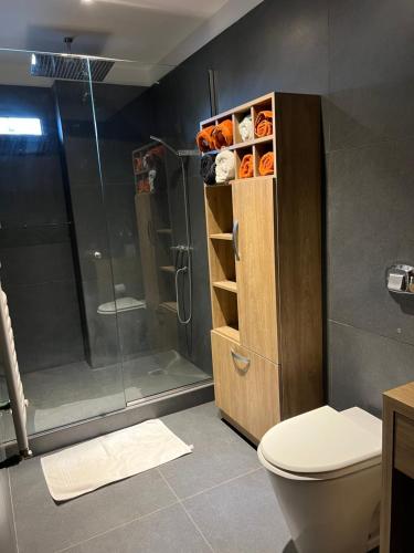 y baño con ducha, aseo y cabina de ducha de cristal. en MAGIC DPTO - GENERAL PAZ en Córdoba