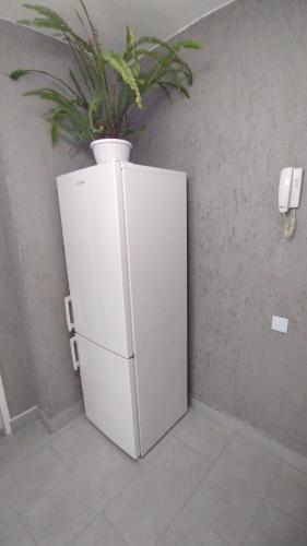 un frigorifero bianco con una pianta in vaso sopra di Ana Apartament a Râmnicu Vâlcea