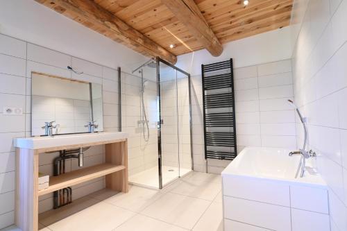 Saint-Étienne-LardeyrolにあるLa Framboisineの洗面台とシャワー付きのバスルーム