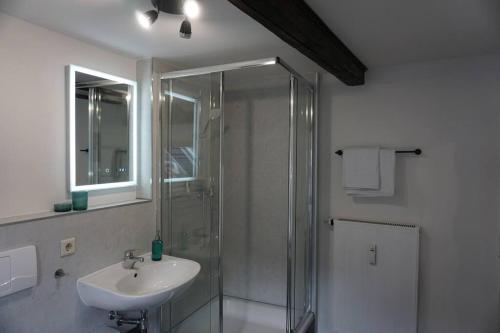 a bathroom with a glass shower and a sink at Wohlfühl-Oase in der Altstadt in Delitzsch