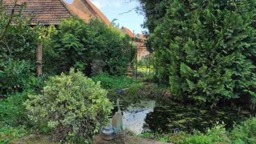 Κήπος έξω από το GITE A LA PETITE FONTAINE-PLAIN PIED-MAISON ALSACIENNE RENOVEE AVEC PASSION-4 PERS-4nuitées minimum