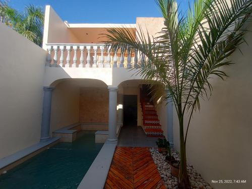 um edifício com uma piscina e uma palmeira em Merida's Mexican Caribbean Cutie em Mérida