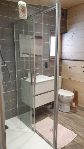 La salle de bains est pourvue d'une douche en verre et de toilettes. dans l'établissement Le Cocon de Plainpalais, à Les Déserts