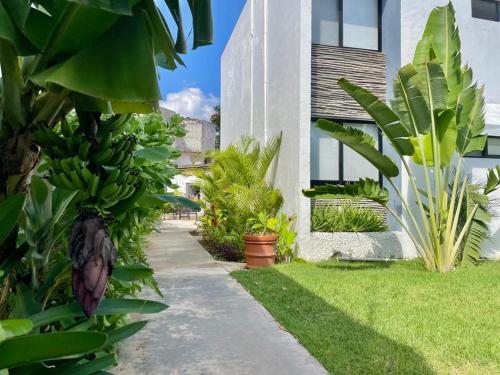 a house with a bunch of bananas on the side of it at Aldeazul by Andiani Travel in Cancún