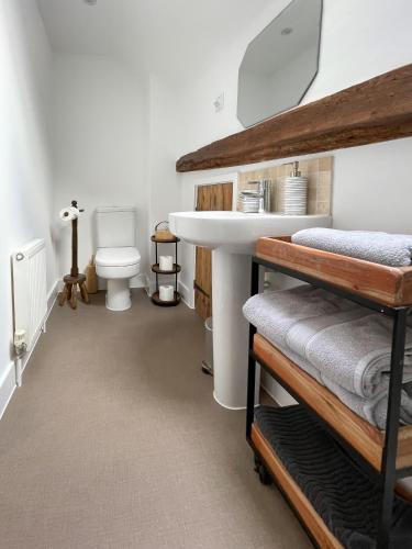 a bathroom with a sink and a toilet at Immaculate barn annexe close to Stansted Airport in Great Dunmow