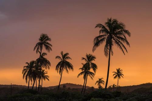 TREE BIES RESORT STANDART – Photos 2