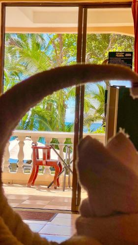 a cat sitting in front of a door with a view of a patio at Hotel Beachfront Vista Hermosa in Jacó