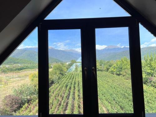 a window with a view of a field of grapes at Begaso Family Winery in Kvareli