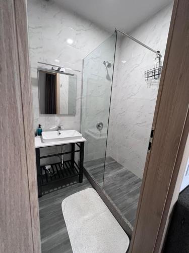a bathroom with a shower and a sink at Begaso Family Winery in Kvareli