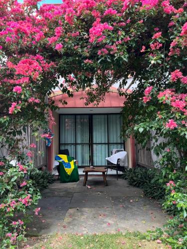 a bench sitting under a large tree with pink flowers at Xainã Pousada de Charme in Cumbuco
