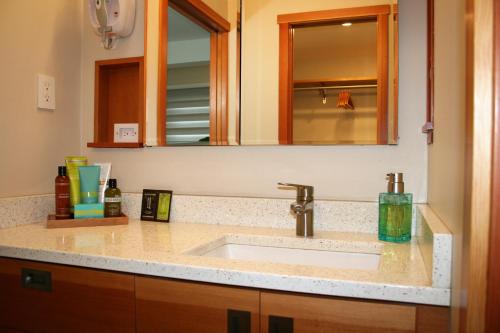 a bathroom counter with a sink and a mirror at Hilltop Hideaway, Pacific Northwest charm & luxury in Portland