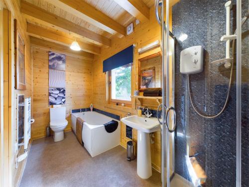 a bathroom with a toilet and a sink and a shower at Alpine Lodge in Pentney