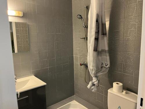 Koupelna v ubytování Agréable appartement en rez-de-jardin à 450m de la mer