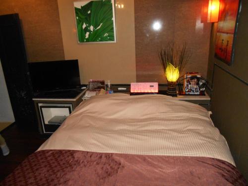 a bedroom with a bed and a desk with a television at Abollo Odawara in Odawara