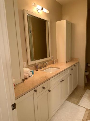 La salle de bains est pourvue d'un lavabo et d'un miroir. dans l'établissement Best Location, Walk Anywhere, à La Nouvelle-Orléans
