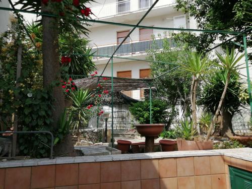 einen Garten mit Topfpflanzen und ein Gebäude in der Unterkunft Il Giardino della Nonna in Alberobello