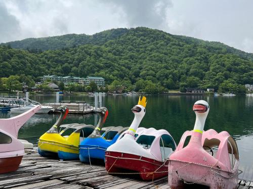旅館の近くで見られる自然の景観