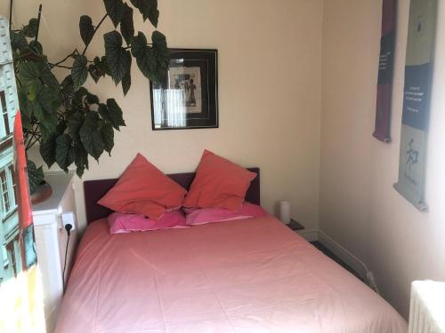 - une chambre avec un lit rose et des oreillers roses dans l'établissement J'offre - Proche de l'hyper centre, à Bourges