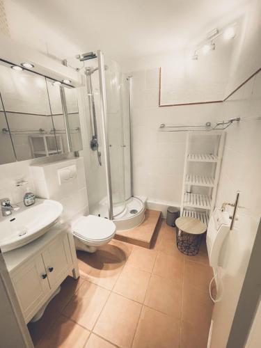 a bathroom with a toilet and a sink and a shower at Schwarzwaldzauber in Baiersbronn