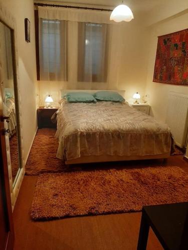- une chambre avec un lit et 2 oreillers dans l'établissement ΚΤΗΜΑ ΑΕΤΟΜΑΧΟΣ, à Portariá