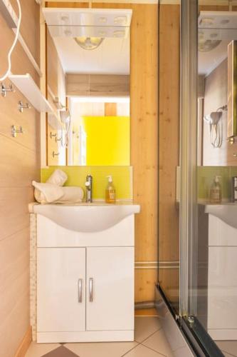 une salle de bain avec un lavabo et une douche dans l'établissement Les Grands Crus - Gîte 