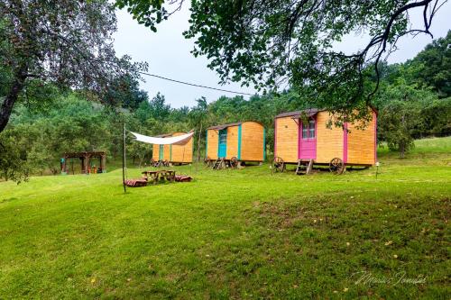 um grupo de cabanas coloridas num campo de relva em Poiana Stelelor 