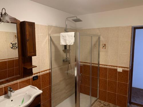 een badkamer met een douche en een wastafel bij Casa Nella in Braşov