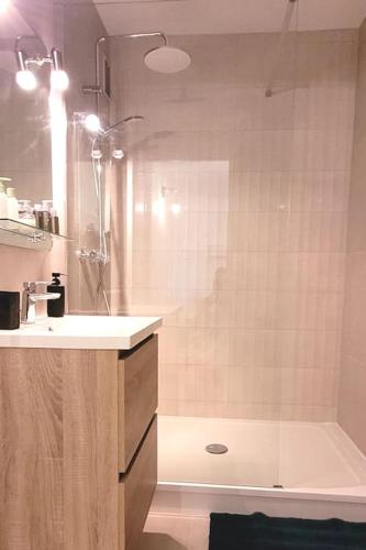 une salle de bain avec une douche, un lavabo et une baignoire dans l'établissement L' escapade Rémoise - Beau 4 pièces refait à neuf, à Reims
