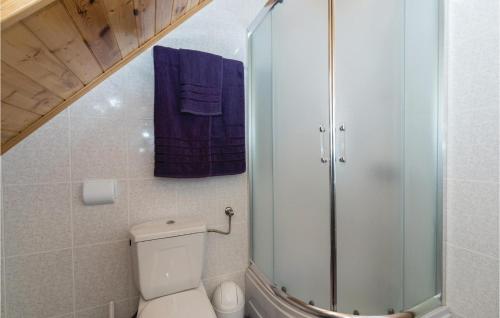 La salle de bains est pourvue de toilettes et d'une douche en verre. dans l'établissement Awesome Home In Velika Buna With Wifi, à Velika Buna