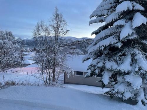 House with garage in central Lyngen v zimě