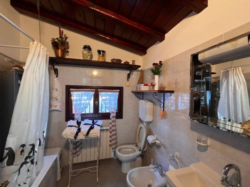 a bathroom with a toilet and a sink at La Baita Di San Massimo in Rapallo