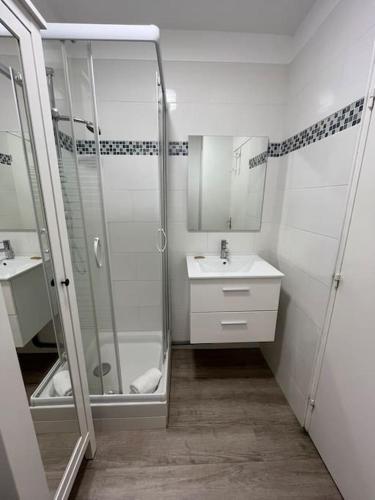 une salle de bain avec douche et lavabo dans l'établissement Sador, Joli appt proche mémorial de Caen, à Caen