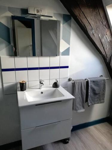 une salle de bain avec un lavabo blanc et un miroir dans l'établissement Cité des Princes, à Montbéliard