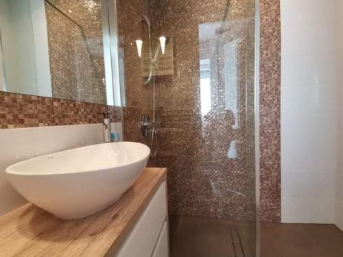 a bathroom with a sink and a glass shower at Motyl Noclegi Bytom in Bytom