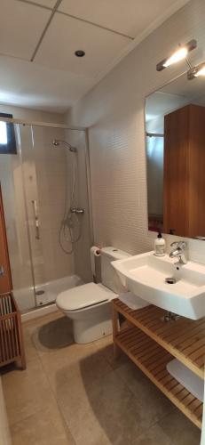 uma casa de banho com um lavatório, um WC e um chuveiro em Espectacular Ático con excelentes vistas. em Almeria