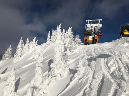 a snow covered mountain with trees on a ski lift at Hotel LÄRCHENHOF in Kleinarl
