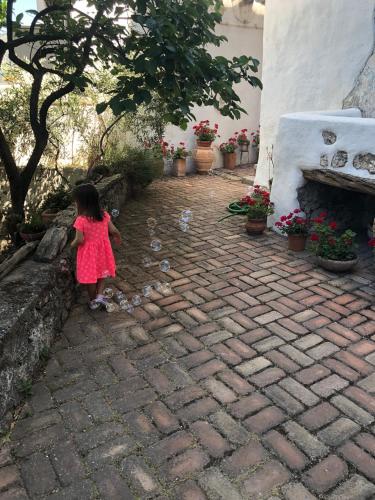 B&B Corte San Lussorio – Photos 3